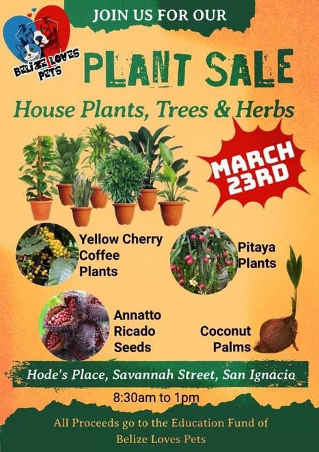 Spring Plant Sale 2024 | Cayo Scoop!  The Ecology of Cayo Culture | Scoop.it