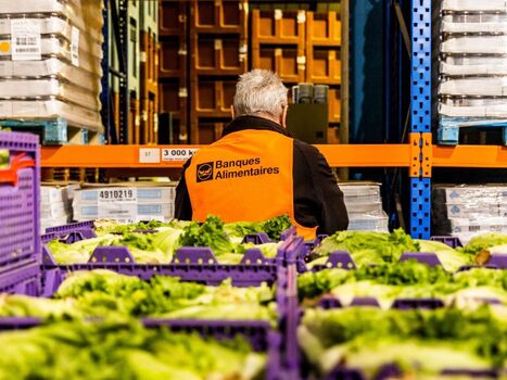 ALIMENTATION : Loi Garot : comment la France a fait du gaspillage alimentaire un levier pour lutter contre la précarité alimentaire  | ALIMENTATIONS | Scoop.it