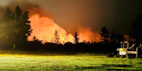 Leesville man sentenced for setting wildfires in Kisatchie National Forest - KALB | Operation Deimos | Scoop.it