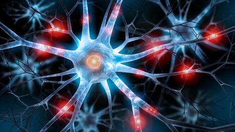 La maladie d’Alzheimer pourrait s’expliquer par cette cause unique, selon une étude | @ZeHub | Scoop.it