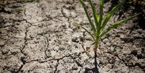 Climat: les 100 milliards promis aux pays du Sud "en route" | Changement climatique & Biodiversité | Scoop.it
