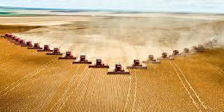 Our Industrial, Western Agricultural Food System Is Destroying the Earth and Our Health | YOUR FOOD, YOUR ENVIRONMENT, YOUR HEALTH: #Biotech #GMOs #Pesticides #Chemicals #FactoryFarms #CAFOs #BigFood | Scoop.it