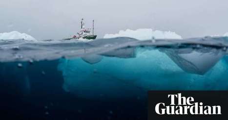 First images of creatures from Antarctic depths revealed | Environment |  Matthew Taylor | The Guardian | @The Convergence of ICT, the Environment, Climate Change, EV Transportation & Distributed Renewable Energy | Scoop.it