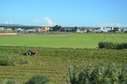 L'Espagne va publier une carte des meilleures initiatives agroalimentaires durables | CIHEAM Press Review | Scoop.it