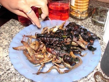 Target the curious: Bringing insect consumption to the mainstream | Les nouvelles cultures de l'alimentaire | Scoop.it