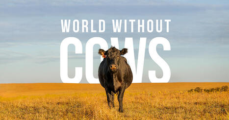 World without cows - un documentaire | SCIENCES DE L' ANIMAL | Scoop.it