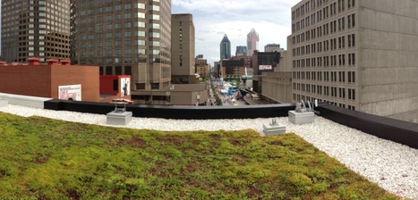 [Canada] Visite guidée de toits verts à Montréal (+ vidéo) | Build Green, pour un habitat écologique | Scoop.it