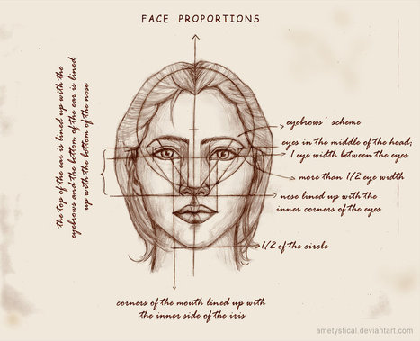 REAL Face Proportions | Drawing References and Resources | Scoop.it