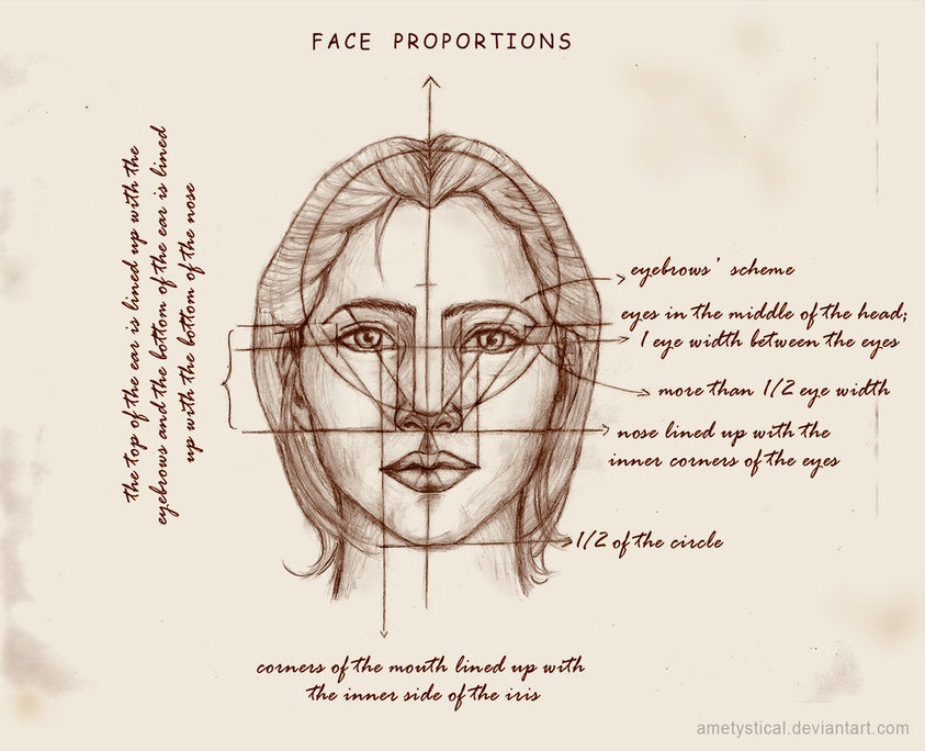 REAL Face Proportions | Drawing References and ...