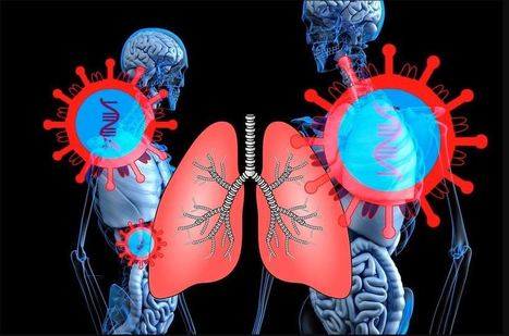 Coronavirus Early Pathology Examined in Lung Tissue of Symptomless Patients | Wuhan, Hubei | Scoop.it