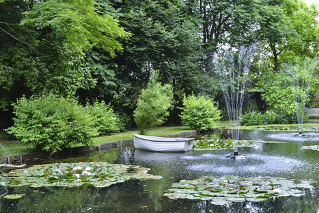 Conseils pour construire une piscine naturelle | Build Green, pour un habitat écologique | Scoop.it