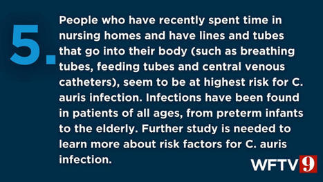 Candida auris: 9 things to know about drug-resistant, potentially deadly fungus – WFTV.com | Operation Deimos | Scoop.it