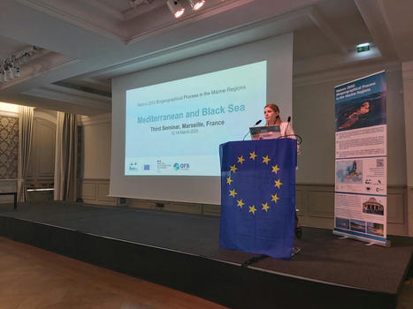 S&eacute;minaire marin 2024 de la M&eacute;diterran&eacute;e et de la mer Noire | Biodiversit&eacute; | Scoop.it