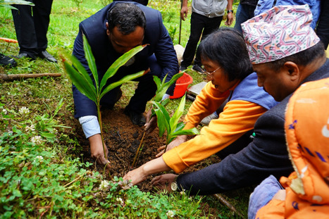 CHINA: Chinese project steers Nepal's agricultural modernization  | ASIES | Scoop.it