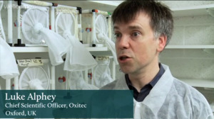 Br&eacute;sil : &eacute;levage de moustiques transg&eacute;niques | EntomoNews | Scoop.it