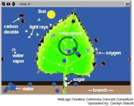 Using Models To Understand Photosynthesis Ser