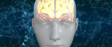 El 90% de los ictus y el 40% de los casos de Alzheimer pueden evitarse | Alzheimer y más (Boletín nº 71) | Scoop.it