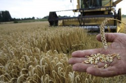 L'agriculture russe ne reçoit que 2,3 trillions de roubles | Questions de développement ... | Scoop.it