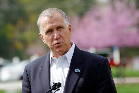 Sen. Thom Tillis&rsquo; preferred adviser &ndash; Dick Cheney | Backstabber Watch | Scoop.it