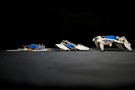 Fogonazos: El origami puede cambiar la tecnología del futuro | Ciencia-Física | Scoop.it