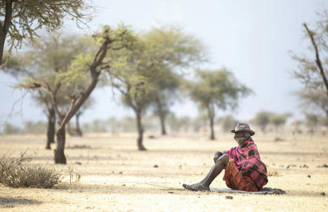 Tourisme durable : chassez le naturel, il revient au galop !  Après des mois de crise, la profession aimerait passer au monde d'après qui est en fait celui d'avant la pandémie. | COVID-19 : Le Jour d'après et la biodiversité | Scoop.it