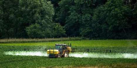 La qualité de l’eau se dégrade encore en France | Elevage et environnement | Scoop.it
