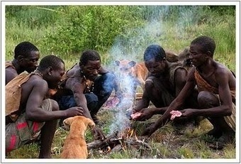 A Very Brief Observation on Evolution, Scale and Wealth Division | Peer2Politics | Scoop.it