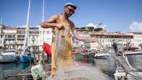 BLUE ECONOMY : &lsquo;Not that optimistic&rsquo;: As 30x30 goals falter, can an Ocean Act save Europe&rsquo;s waters?&nbsp; | CIHEAM Press Review | Scoop.it