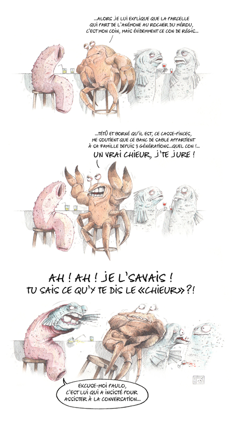Les concombres de mer sont fourbes | Café des Sciences | Scoop.it