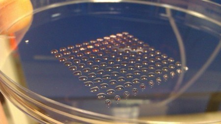 Human embryonic stem cells arranged using 3D printing technique | Longevity science | Scoop.it