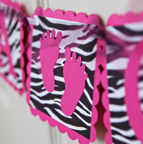 Zebra Baby Shower Decorations Baby Shower Dec