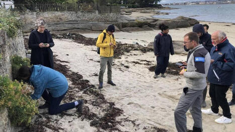 Erosion des plages. Devenez observateur de l’évolution du littoral à Concarneau | Regards croisés sur la transition écologique | Scoop.it