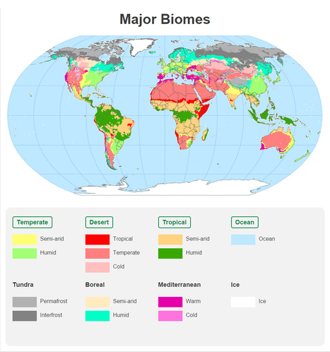 Global forest destruction continues despite COP26 deforestation