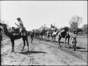 Year 5 History: The Afghan Cameleers | Scoop.it