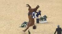 VIDEO. Pentathlon : un cheval se cabre et écrase son cavalier | Cheval et sport | Scoop.it
