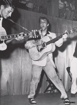 Elvis Presley & The Birth of Rockabilly | Rockabilly | Scoop.it