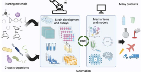 From bench to biofactory: high-throughput technologies and automated workflows to accelerate biomanufacturing | Cin | RMH | Scoop.it
