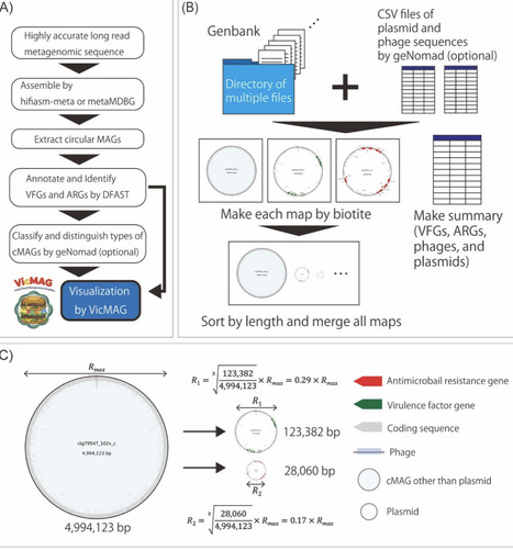 VicMAG, an open-source tool for visualizing cir...