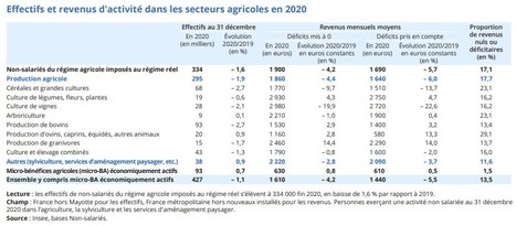 En 2020, les revenus d’activité des non-salariés du secteur agricole continuent de baisser | Lait de Normandie... et d'ailleurs | Scoop.it