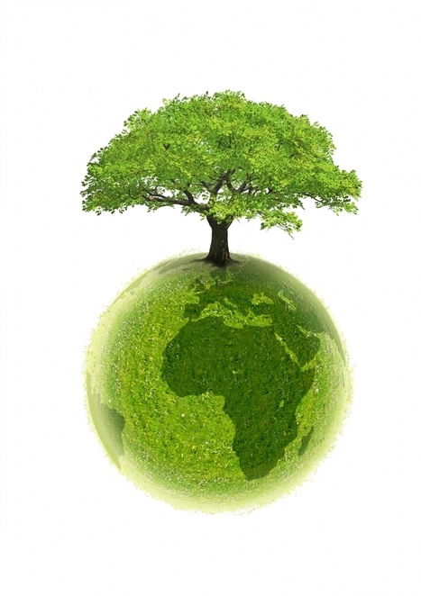 Greenweez.com l&egrave;ve 3 millions d'euros | Lev&eacute;e de fonds & Best practice Startups | Scoop.it