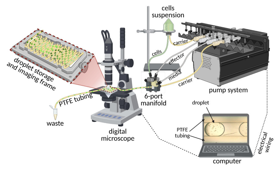 Droplet-based microfluidics platform for invest...