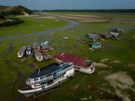 Drought drains Brazilian Amazon residents reliant on waterways - PHYS.org | Agents of Behemoth | Scoop.it