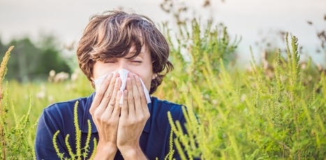 DNA analysis finds that type of grass pollen, not total count, could be important for allergy sufferers | IELTS, ESP, EAP and CALL | Scoop.it