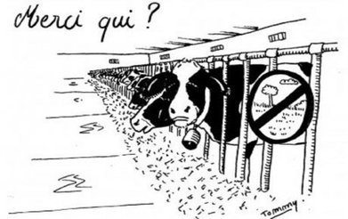France - Comment les agrocarburants ont conduit aux fermes usines | Koter Info - La Gazette de LLN-WSL-UCL | Scoop.it