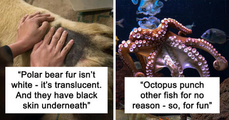 22 People Share The Weirdest Animal Facts They Know | Strange days indeed... | Scoop.it