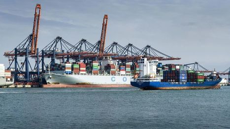 Le port de Rotterdam mise sur les produits agricoles | LE GRAND NORD | Scoop.it