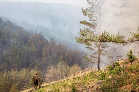 Russie: les incendies de forêts se propagent en Sibérie | Europe | Biodiversité - @ZEHUB on Twitter | Scoop.it