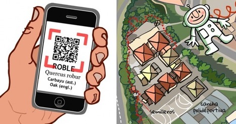 Árboles del colegio | La Chavalería | Scoop.it