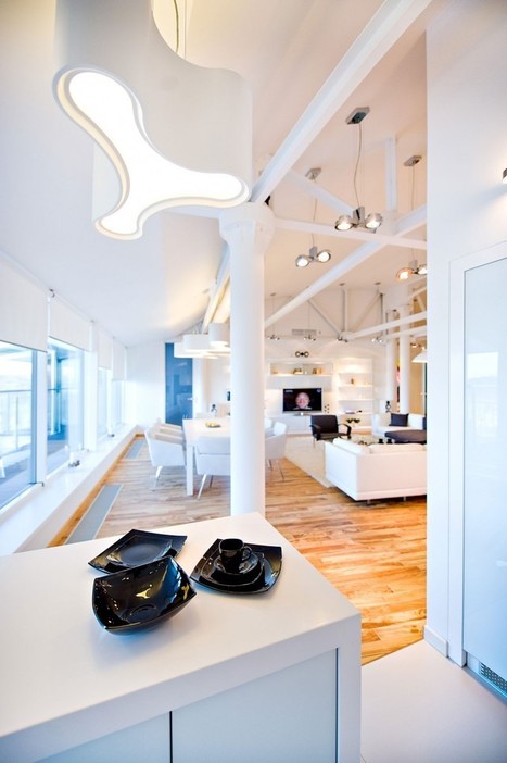 Loft Apartment in Chisinau by Grosu Art Studio | Rendons visibles l'architecture et les architectes | Scoop.it