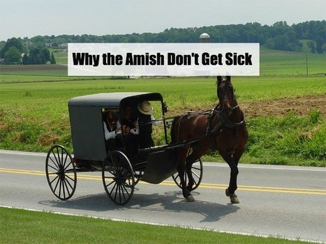 Why the Amish Don't Get Sick: Things You Can Learn From Them | Health Supreme | Scoop.it